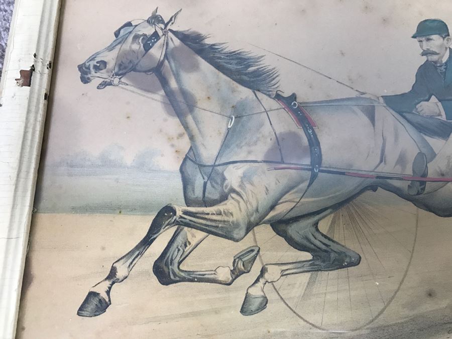 Antique Currier & Ives Lithograph 'Trotting Gelding Steve Maxwell, by Ole Bull, Jr. Driven By John Murphy' Hand Colored In Antique Frame Copyright 1881 Harness Racing Scott Leighton [Photo 3]