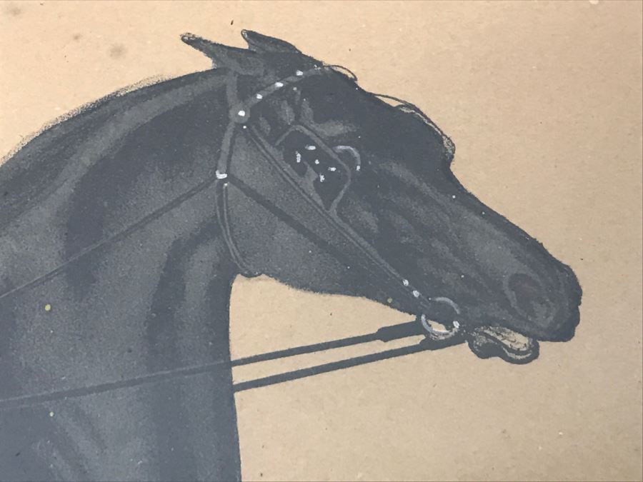 Antique Currier & Ives Lithograph 'Blackwood Jr.' Hand Colored In Antique Frame Harness Racing J. Cameron [Photo 7]
