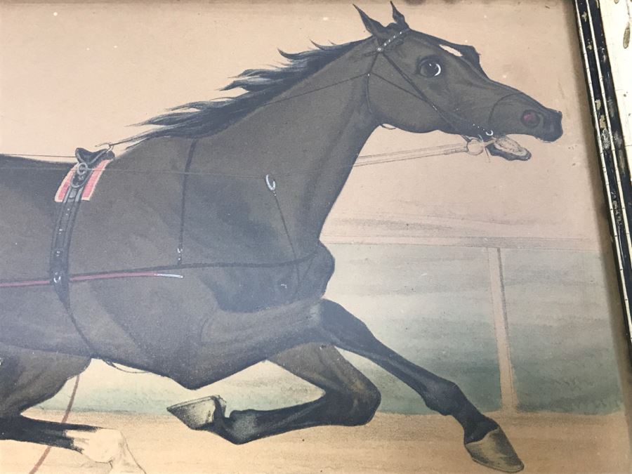 Antique Currier & Ives Lithograph 'The Grand Horse St. Julien. The 'King Of Trotters.'' Hand Colored In Antique Frame Copyright 1881 Harness Racing Scott Leighton [Photo 5]