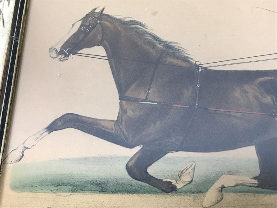 Antique Currier & Ives Lithograph 'Judge Fullerton' Hand Colored In Antique Frame Copyright 1873 Harness Racing J Cameron [Photo 5]