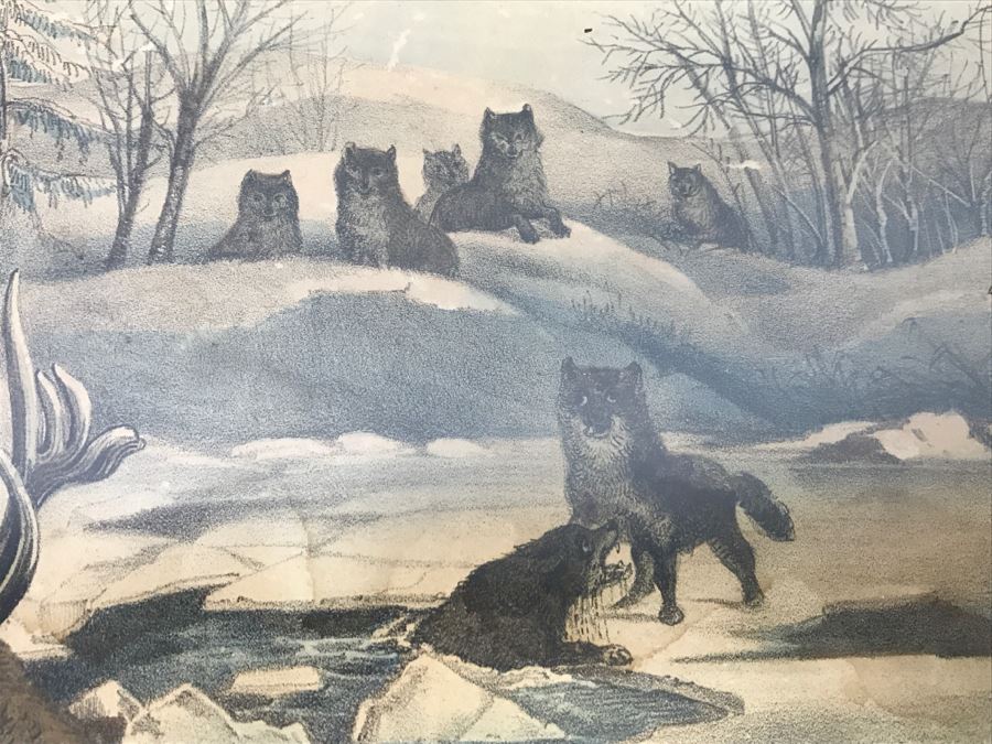 Antique Currier & Ives Lithograph 'Moose And Wolves A Narrow Escape' Hand Colored In Antique Frame [Photo 5]