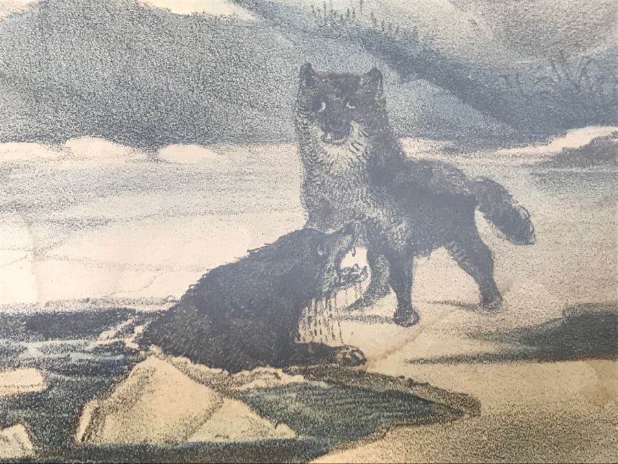 Antique Currier & Ives Lithograph 'Moose And Wolves A Narrow Escape' Hand Colored In Antique Frame [Photo 6]