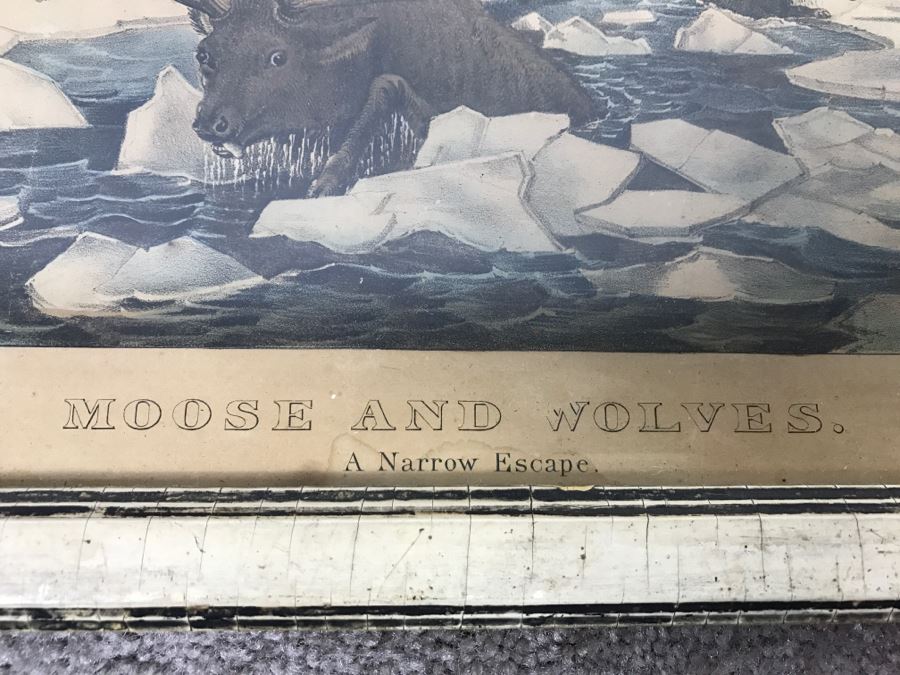 Antique Currier & Ives Lithograph 'Moose And Wolves A Narrow Escape' Hand Colored In Antique Frame [Photo 7]