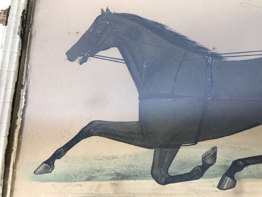 Antique Currier & Ives Lithograph 'Bay Stallion Hambrino, By Edward Everett' Hand Colored In Antique Frame Copyright 1879 Harness Racing [Photo 3]