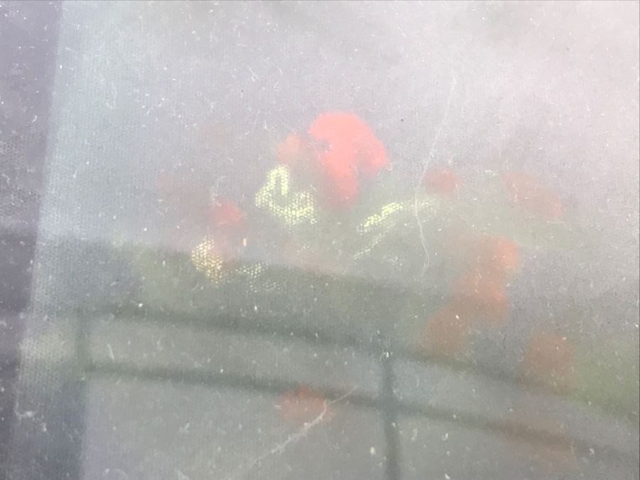 Vintage Colorized Photograph In Vintage Frame With Domed Glass [Photo 6]