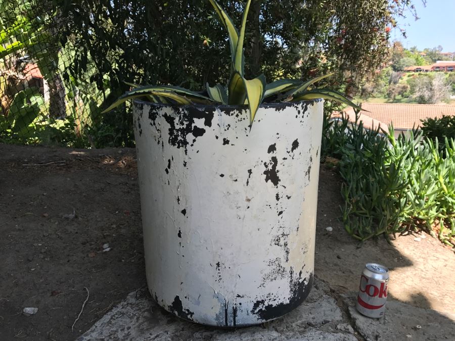 Large Architectural Outdoor Planter Pot Painted White With Cactus Plant [Photo 2]