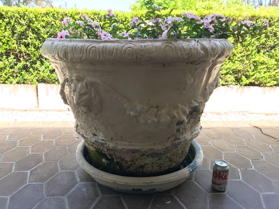 Large Vintage White Outdoor Planter Pot With Lion Head And Plants [Photo 3]