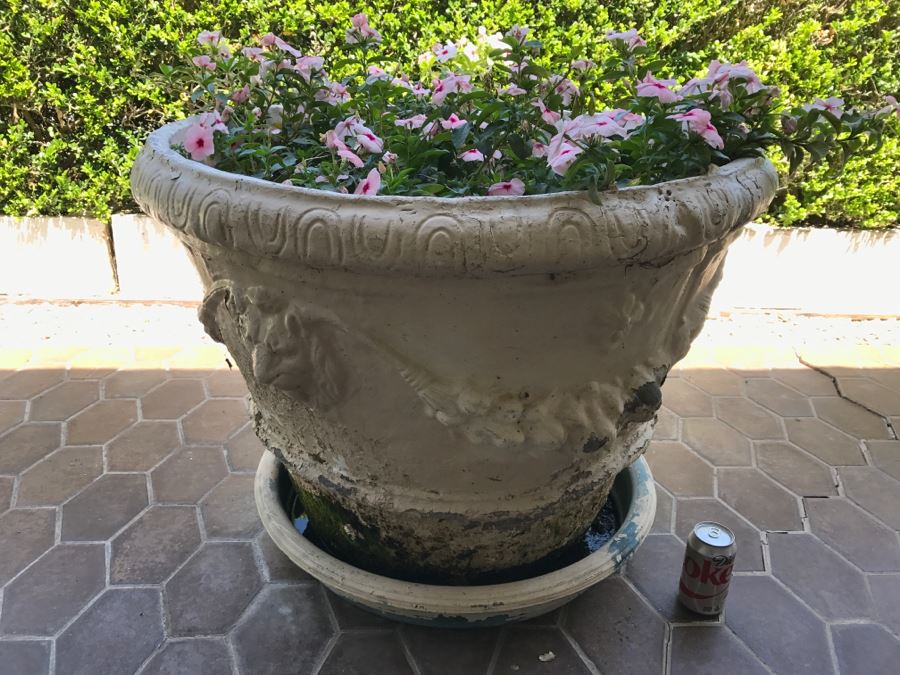 Large Vintage White Outdoor Planter Pot With Lion Head And Plants [Photo 1]