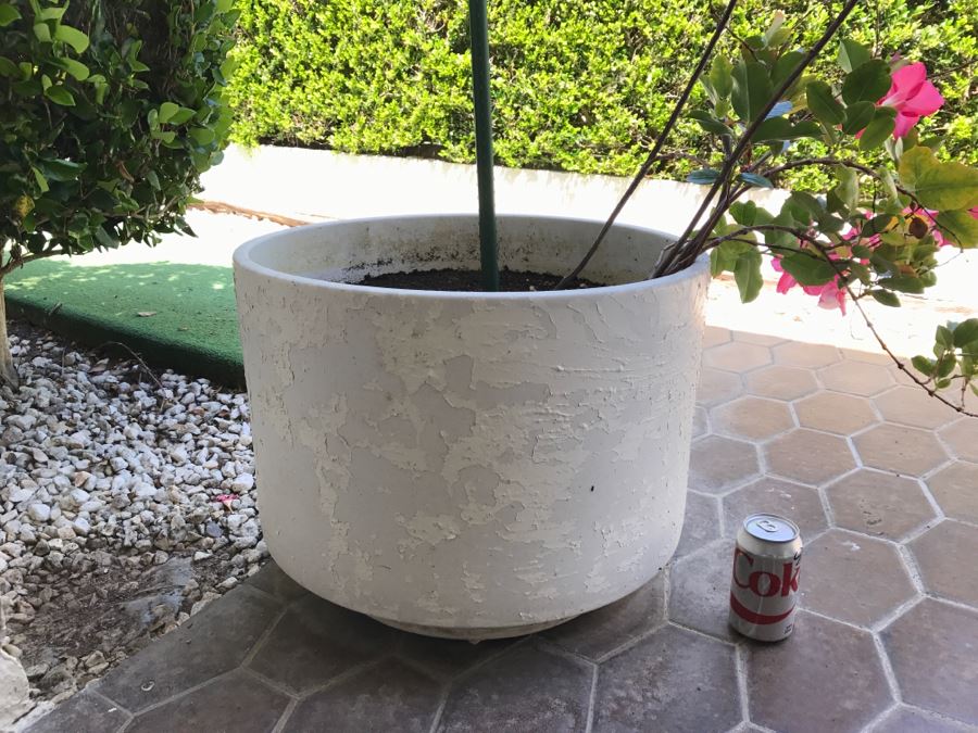 Large Architectural Outdoor Planter Pot Painted White With Plant [Photo 1]