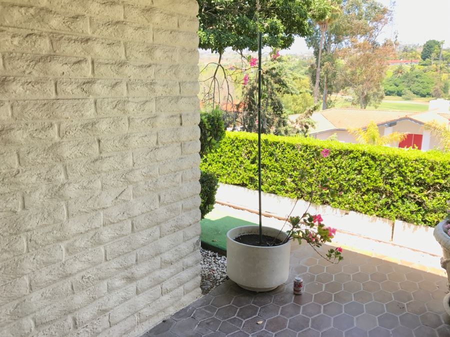 Large Architectural Outdoor Planter Pot Painted White With Plant [Photo 4]