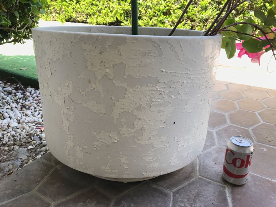Large Architectural Outdoor Planter Pot Painted White With Plant [Photo 2]