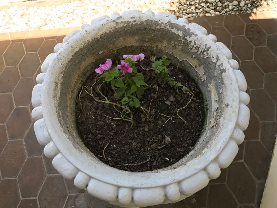 Large Outdoor Cement Urn Planter Pot Painted White With Flowers [Photo 5]