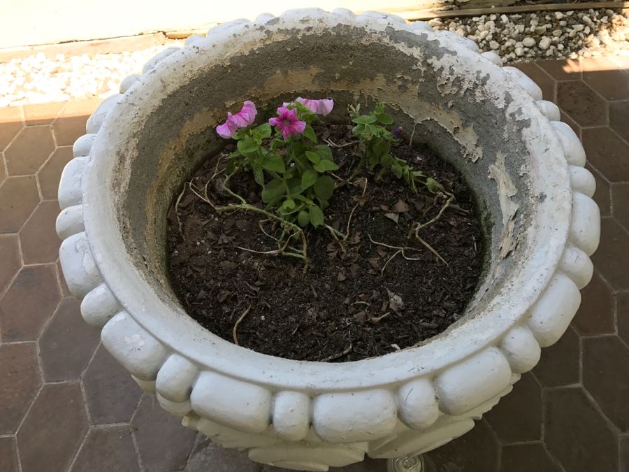 Large Outdoor Cement Urn Planter Pot Painted White With Flowers [Photo 4]