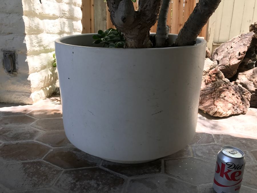 Gainey Ceramics Large Architectural Outdoor Planter Pot White With Jade Plant [Photo 4]