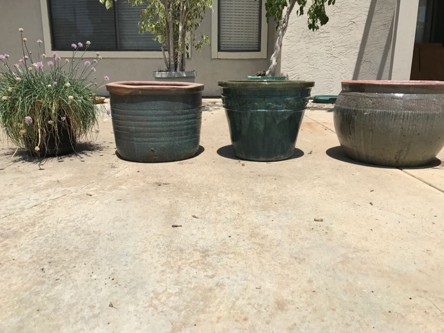 Set Of Pottery Plus Potted Plant