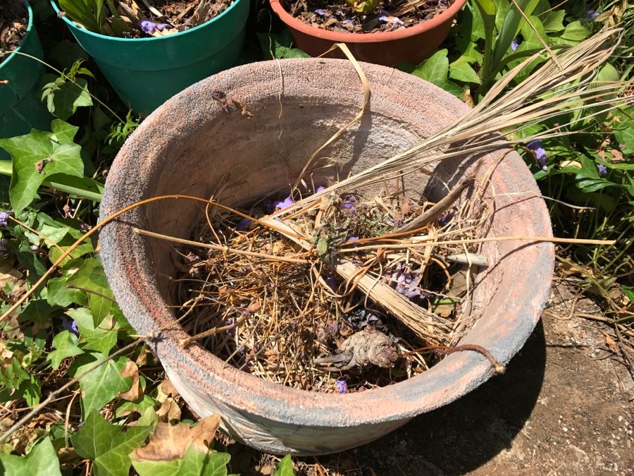 Potted Plants And Clay Pottery (Total Of 8) [Photo 6]