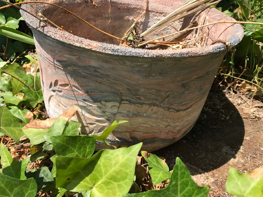 Potted Plants And Clay Pottery (Total Of 8) [Photo 7]