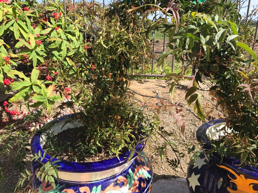 Pair Of Large Hand Painted Pots With Flowers [Photo 6]