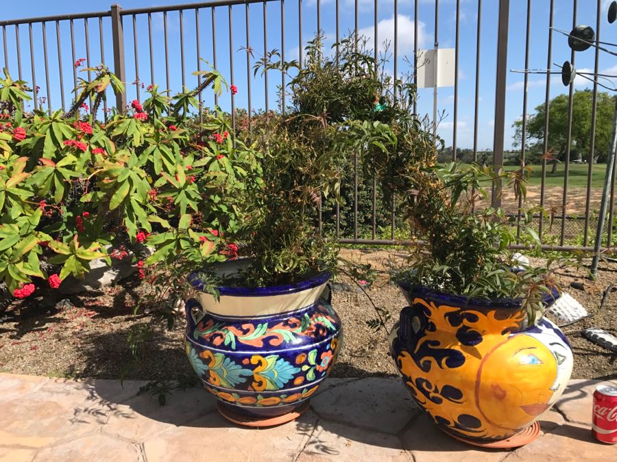 Pair Of Large Hand Painted Pots With Flowers [Photo 4]