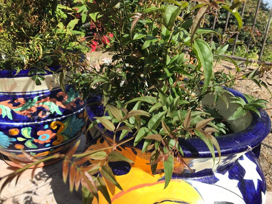 Pair Of Large Hand Painted Pots With Flowers [Photo 8]