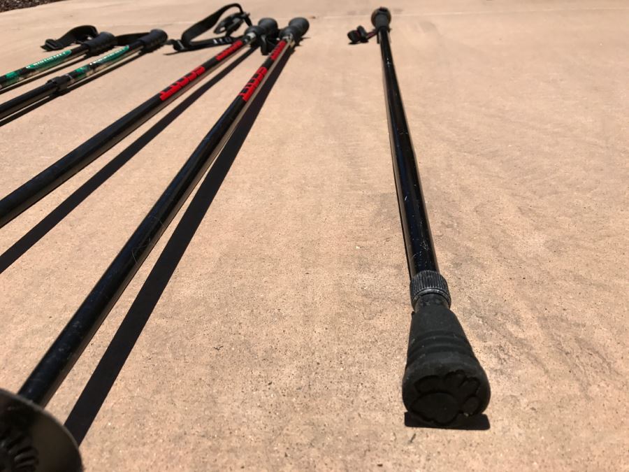 Set Of STANSPORT Made In Italy Walking Sticks And Scott Ski Poles [Photo 8]