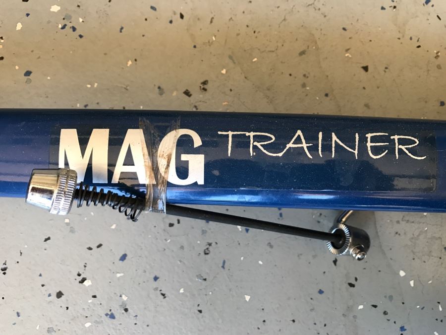 giant mag trainer