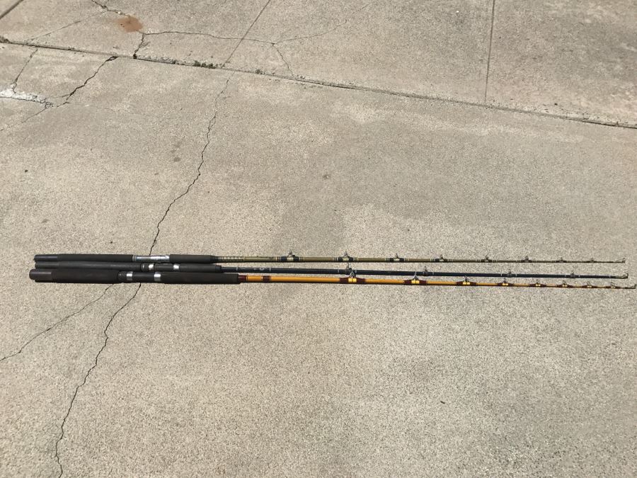 Set Of 3 Saltwater Fishing Poles Fenwick Pacificstik Fenglass And Daiwa SL 22 [Photo 3]