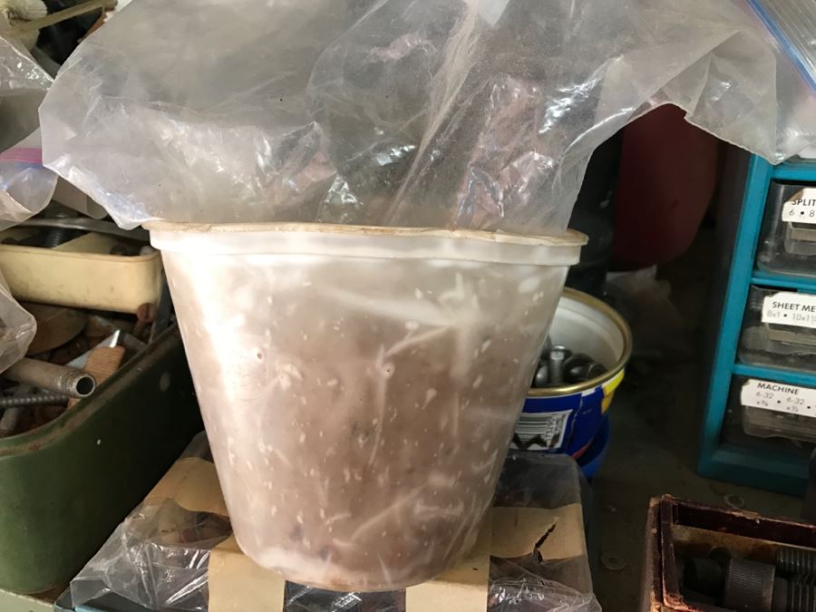 JUST ADDED - Shelf Full Of Hardware, Gas Can And Metal Tool Box [Photo 5]