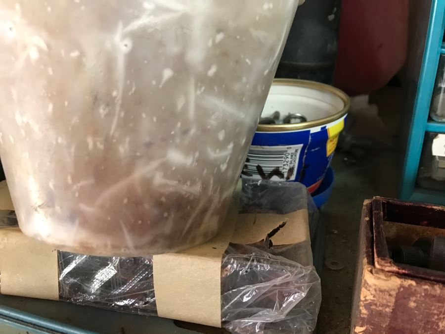 JUST ADDED - Shelf Full Of Hardware, Gas Can And Metal Tool Box [Photo 6]