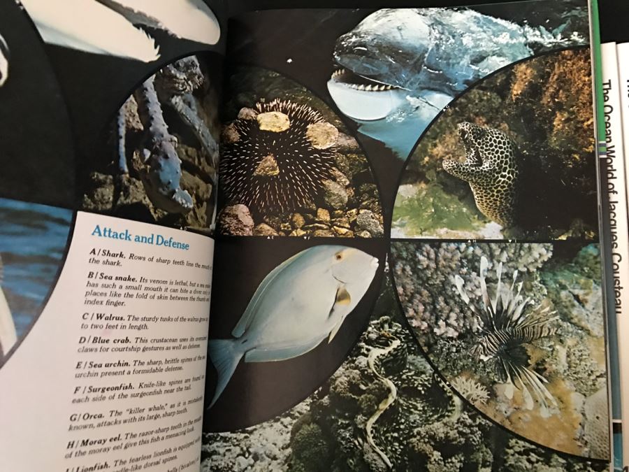 LAST MINUTE ADD - Vintage Collection Of Books 'The Ocean World Of Jacques Cousteau' [Photo 3]