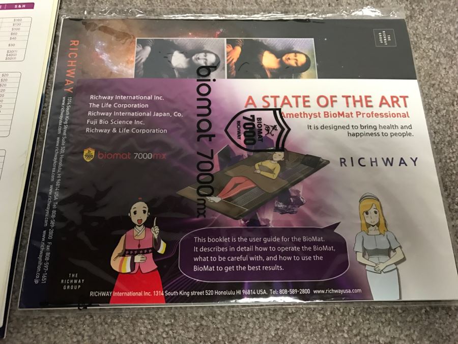 Biomat 7000MX Mini High-Tech Infrared Ray (HR) Treatment System With Amethyst By Richway International Retails For $770 [Photo 15]