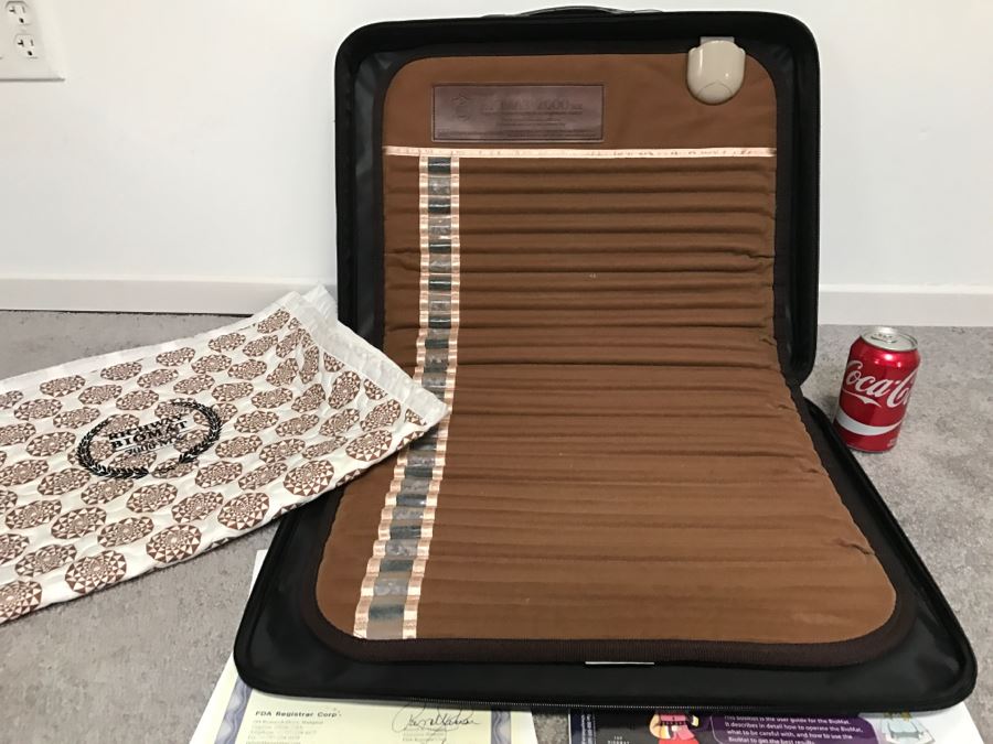 Biomat 7000MX Mini High-Tech Infrared Ray (HR) Treatment System With Amethyst By Richway International Retails For $770 [Photo 2]