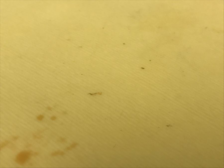 Vintage Bone Hand Vanity Mirror Beveled Glass [Photo 7]