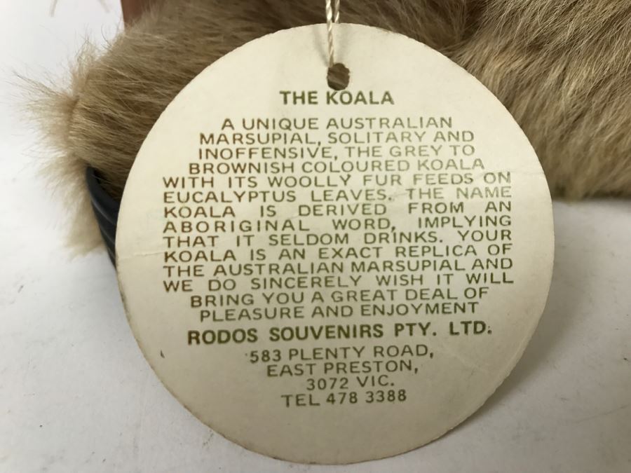 Genuine Kangaroo Fur Koala Bear Doll - Note One Of The Ears Is Ripping [Photo 4]