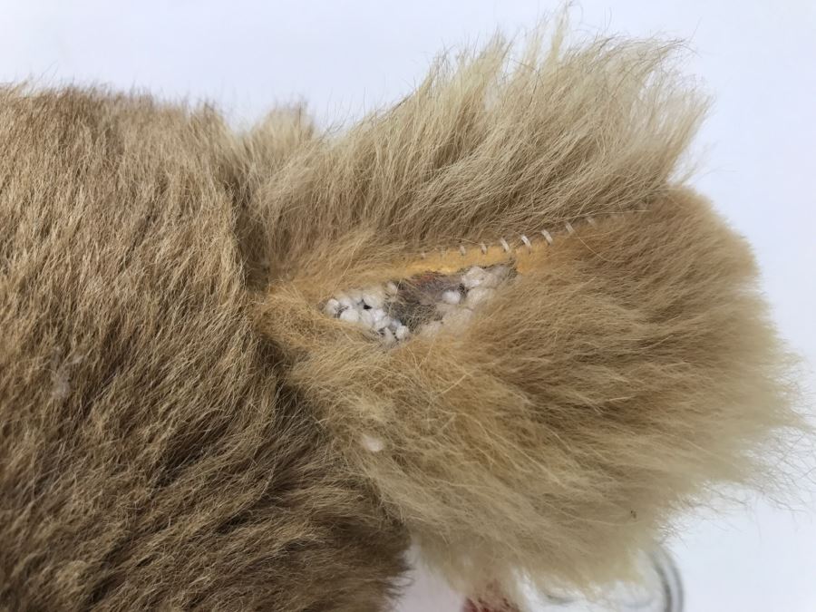 Genuine Kangaroo Fur Koala Bear Doll - Note One Of The Ears Is Ripping [Photo 7]