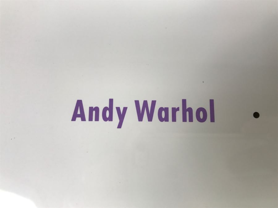 Andy Warhol The Art Of Mickey Mouse Framed Print Poster [Photo 4]