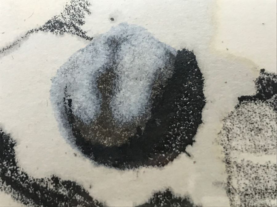 2 Vintage 1972 Original Hand Pencil Drawn Calendar Sketches With Sayings And One Print By Artist Robert Bucciarelli Artwork [Photo 19]