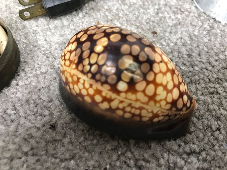 Historical WWII Military Trunk Time Capsule Loaded With Period Items Including Unopened Tobacco, Letters, Gold Fountain Pens, Notes, Japanese Military Jacket And More Owned By Charles F. Chase U.S.N. Doctor PhM Pharmacist's Mate - See All Photos [Photo 95]