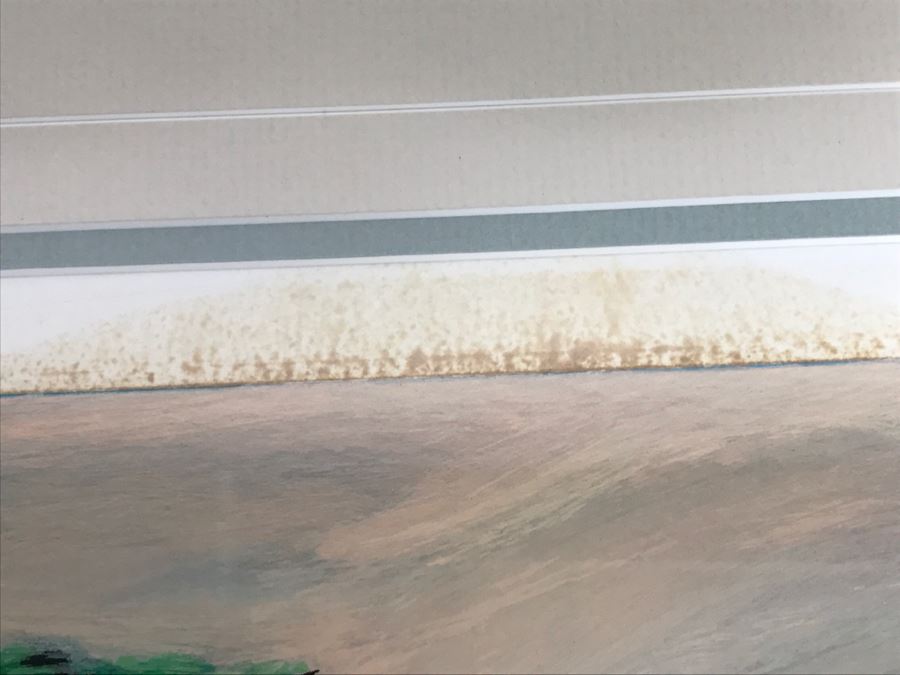 Ken Auster Serigraph Titled 'Cypress Point' 1990 Hand Signed By Artist 153 Of 295 With COA [Photo 22]