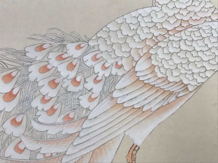 Stunning Original Asian Painting Of Albino Peacock Nicely Framed And Matted [Photo 5]