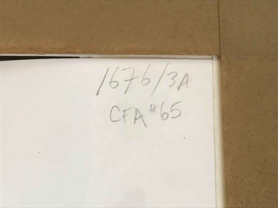 Alfred Wertheimer Framed Limited Edition 1956 Photograph Of Elvis Presley Titled 'Stage Show' 2 Of 300 Estimate $800 [Photo 17]