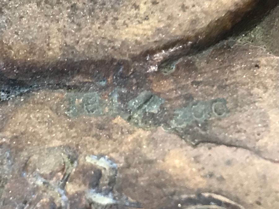 Limited Edition Bronze Sculpture Titled 'Bacchanal' By Rosan 1988 101 Of 300 13 3/4' Tall With COA Estimate $3,000 [Photo 19]