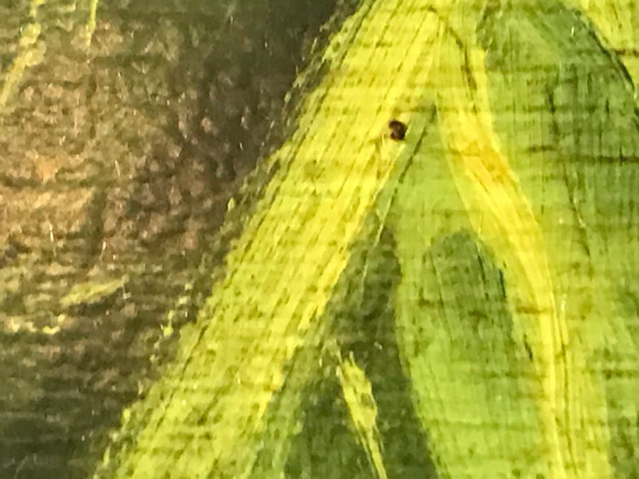 Chinese Artist Siu Ho Lee LARGE Framed Oil Painting On Canvas Depicting A Colorful Floral In Spectacular Gilt Wood Frame 55' X 67.5' Estimate $6,500 [Photo 17]