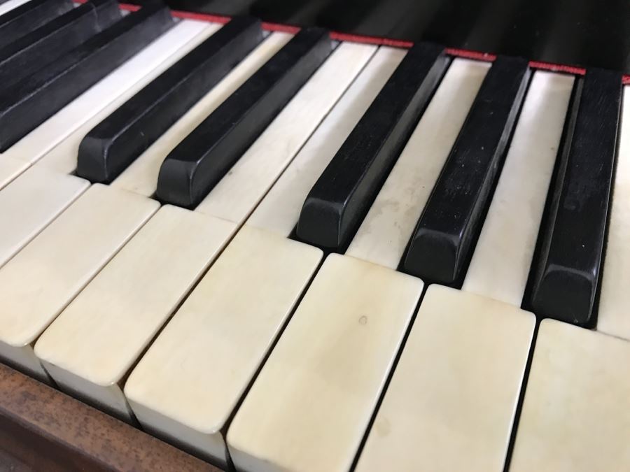  Late 19th Century Baby Grand Piano With Ivory Keys By Wopaterni & Sohn - Vienna, Austria [Photo 32]