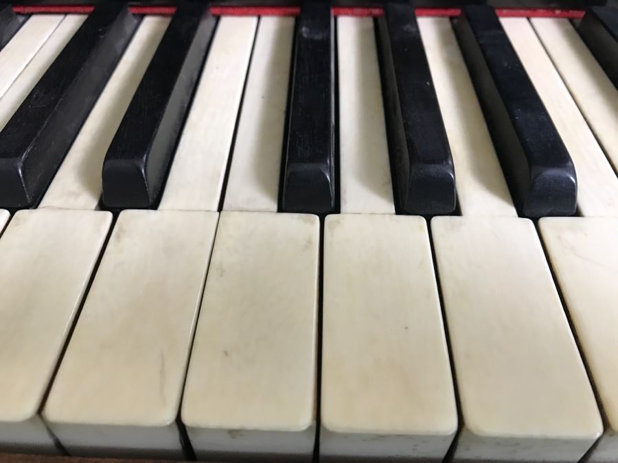 Late 19th Century Baby Grand Piano With Ivory Keys By Wopaterni & Sohn - Vienna, Austria [Photo 31]