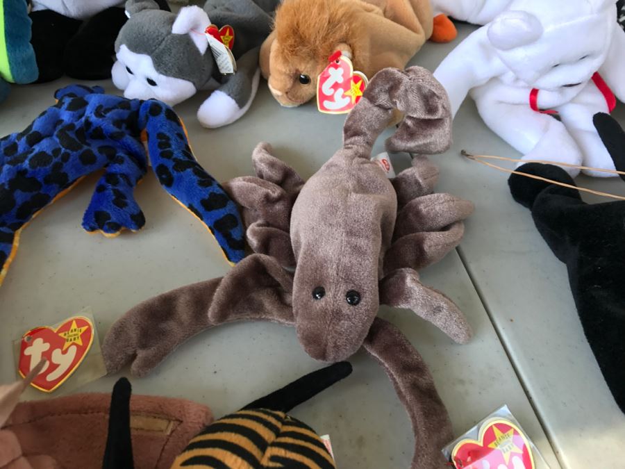 Huge Collection Of Ty Beanie Baby Dolls [Photo 26]