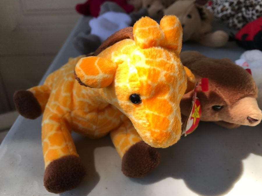 Huge Collection Of Ty Beanie Baby Dolls [Photo 5]