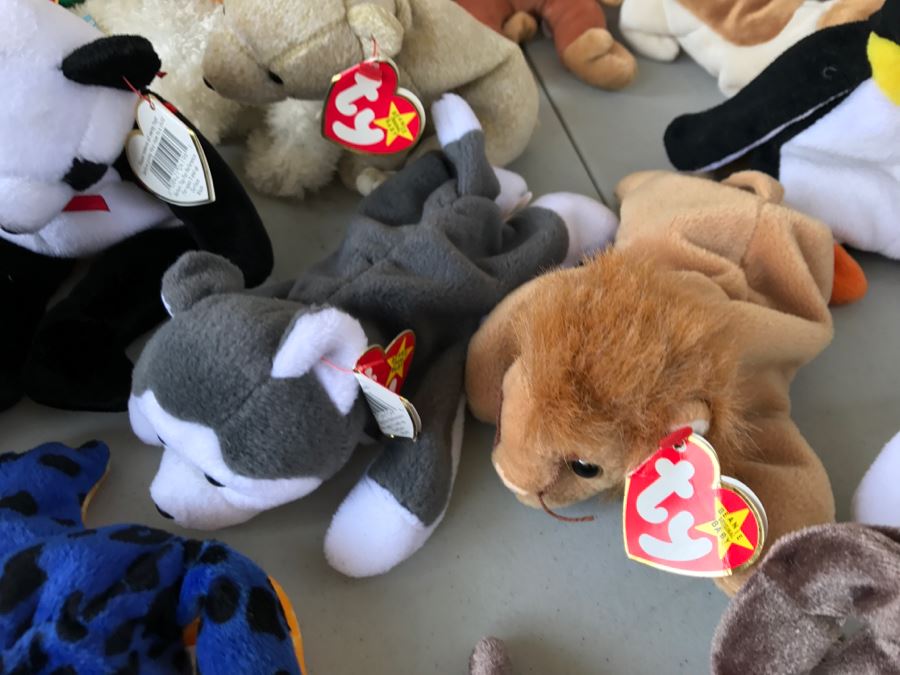 Huge Collection Of Ty Beanie Baby Dolls [Photo 27]