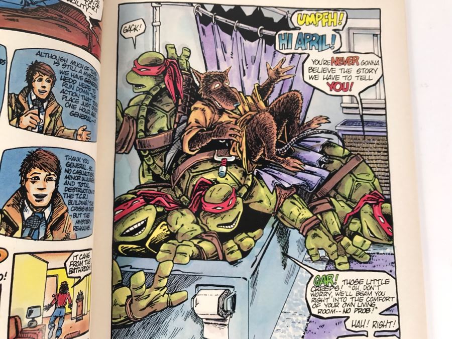 Teenage Mutant Ninja Turtles Book III First Graphic Novel Third Printing [Photo 17]