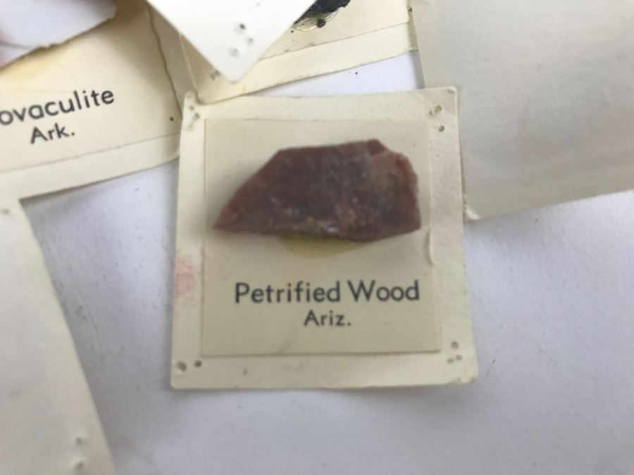 Various Labeled Rocks And Minerals Teaching Supplies [Photo 4]